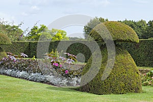 Topiary garden with flowers, trees, tall hedge