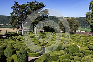 Topiary garden of the Jardins de Marqueyssac - Dordogne - France