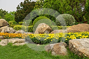 Topiary garden landscaped design with hedge round shape of bush