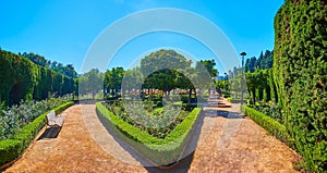 Topiary Gardens of Pedro Luis Alonso, Malaga, Spain photo