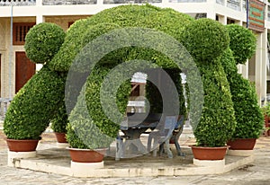 Topiary Gazebo in Cambodia