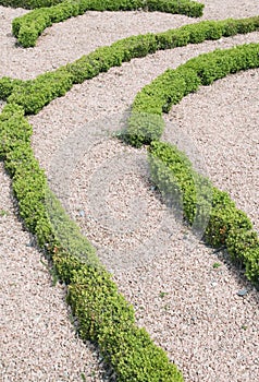 Topiary labyrinth