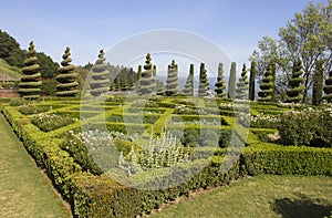 Topiary Landscaping in a Formal English Garden