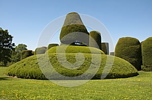 Topiary maze at Packwood