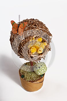 The topiary with the nest of full yellow chicks over white background