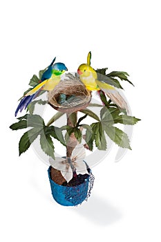 The topiary with the parrots and their nest with the eggs over w