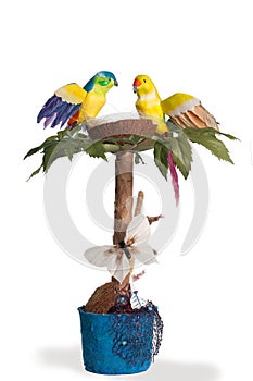 The topiary with the parrots and their nest over white background