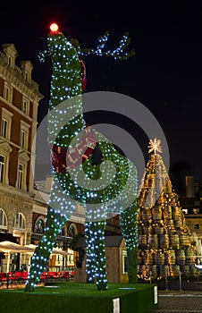 Topiary Reindeer in Covent Garden at Christmas