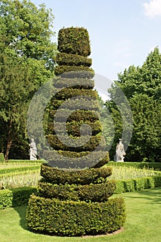 Topiary tree