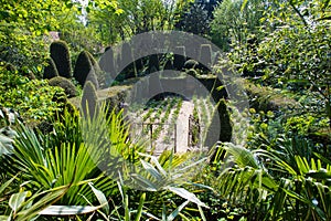 Garden of Alexander Thomas