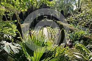 Garden of Alexander Thomas