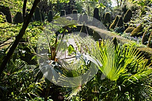 Garden of Alexander Thomas