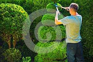 Topiary Trimming Plants