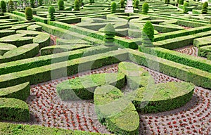 Topiary in the Villandry castle