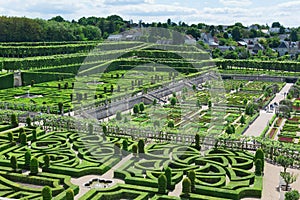 Topiary in Villandry castle, France