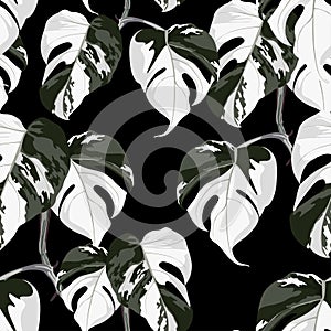 Topical palm leaves on black, seamless pattern. Beautiful allover print with hand drawn exotic plants.