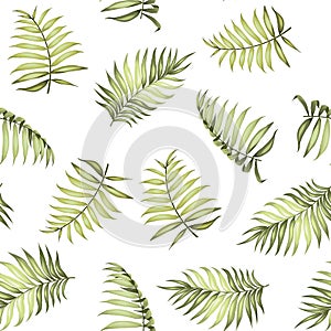 Topical palm leaves pattern.