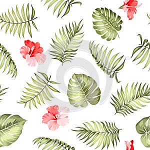 Topical palm leaves pattern.