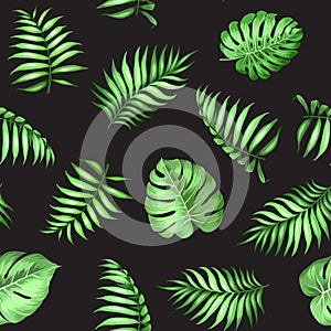 Topical palm leaves pattern.