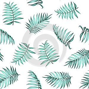 Topical palm leaves pattern.