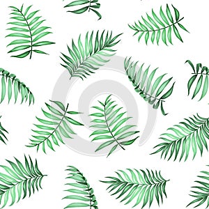 Topical palm leaves pattern.