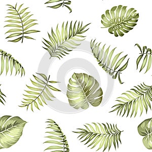 Topical palm leaves pattern.