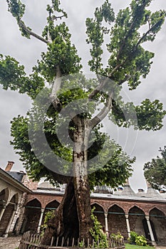 Topkapi Palace Istanbul