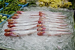 Topmouth culter, freshwater fish on ice at market Thailand