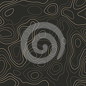 Topographic contours.