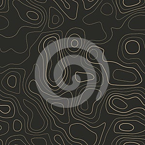 Topographic contours.