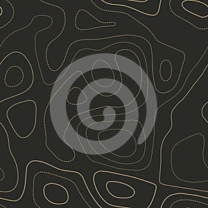 Topographic contours.