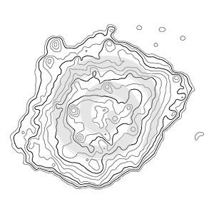 Topographic map background. Grid map. Pattern of contour lines. Abstract vector illustration