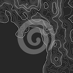 Topographic map background with space for copy . Line topography map contour background , geographic grid abstract