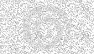 Topographic map contour background. Topo map with elevation. Contour map vector. Geographic World Topography map grid