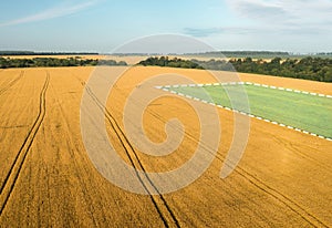 Topographic map of land plot for leasing. Sale field land for agribusiness.