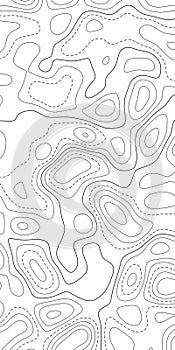 Topographic map. Topographical background. Linear graphics. Vector illustration