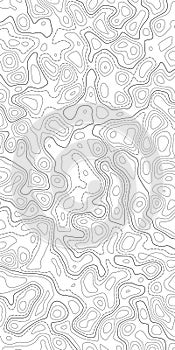 Topographic map. Topographical background. Linear graphics. Vector illustration