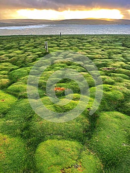 Topography of Downpatrick Head Mayo