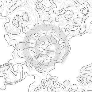 Topography map background. Vector geographic contour map