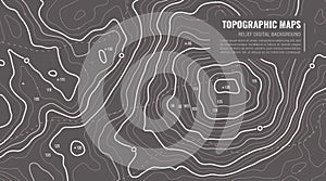 Topography Map Background. Vector Web Banner.