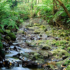 Topography of pot hole with river