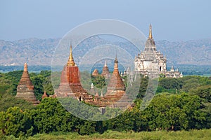 The tops of ancient Buddhist temples on a sunny afternoon. Bagan, Myanmar