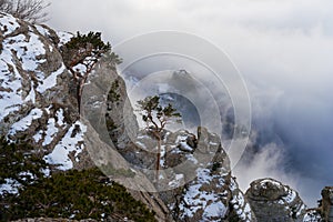 Tops of mountains over fog.