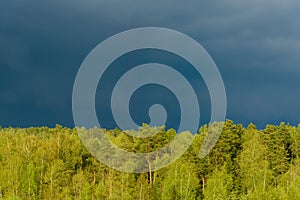 Tops of trees under blue storm clouds or thunderclouds