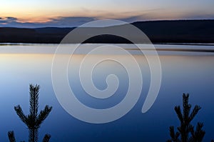 The tops of two young coniferous spruce trees stand against the calm water of the Northern Viluy river.