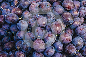 Topview background from organic Plums or damson