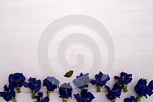 Topview of the pea flowers on white wooden table