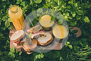 Topview of picnic with sandwiches and juice on a green grass in summer time.