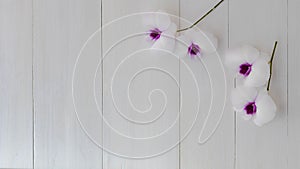 Topview purple orchid on wood