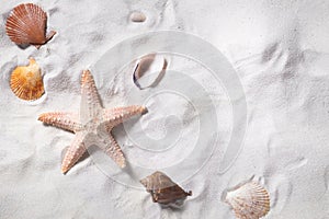 Topview of sea shells with sand beach as background and copyspace.